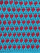 Load image into Gallery viewer, May Dishcloth of the Month
