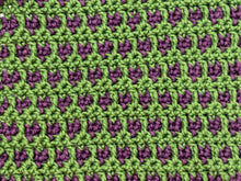 Load image into Gallery viewer, October Dishcloth of the Month
