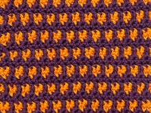 Load image into Gallery viewer, October Dishcloth of the Month
